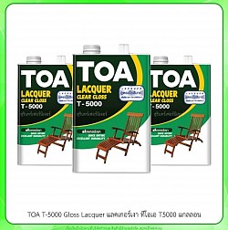TOA T-5000 Gloss Laxquer